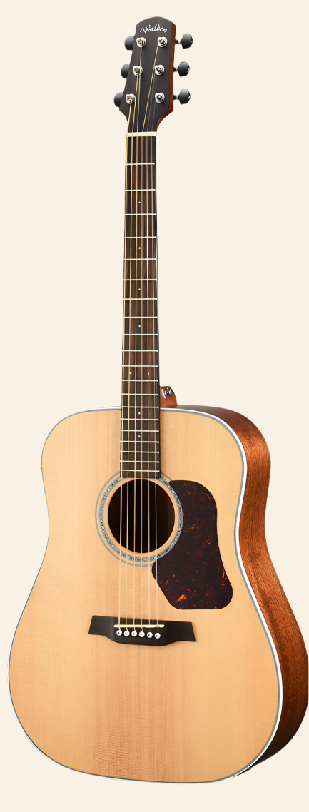 D740E Natura All-Solid Sitka-Mahogany Dreadnought Acoustic-Electric - Satin Natural