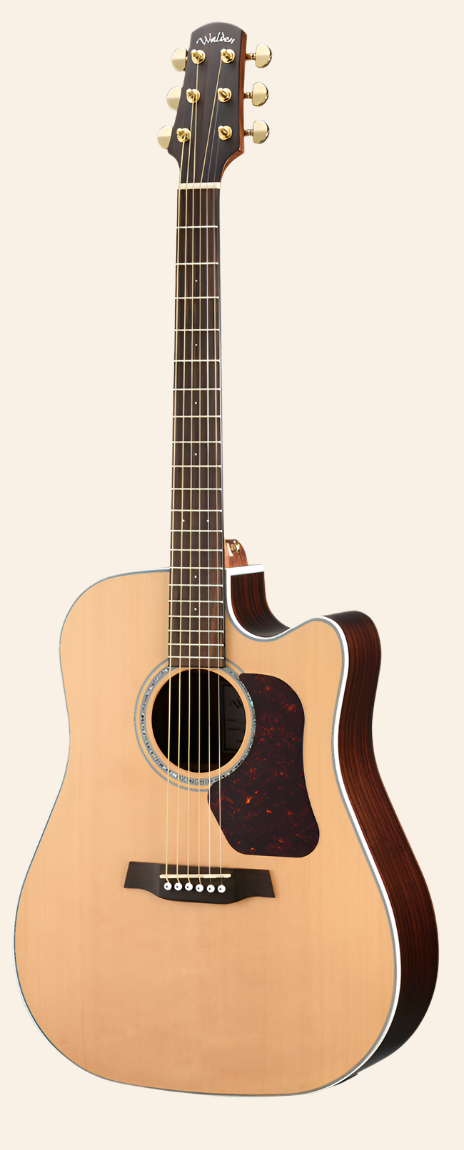 D603CE Natura Solid Sitka Top-Ovangkol Dreadnought Acoustic Cutaway-Electric - Satin Natural