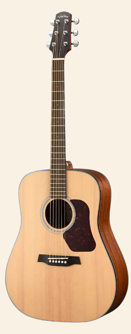 D550E Natura Solid Spruce Top Dreadnought Acoustic-Electric - Open Pore Satin Natural