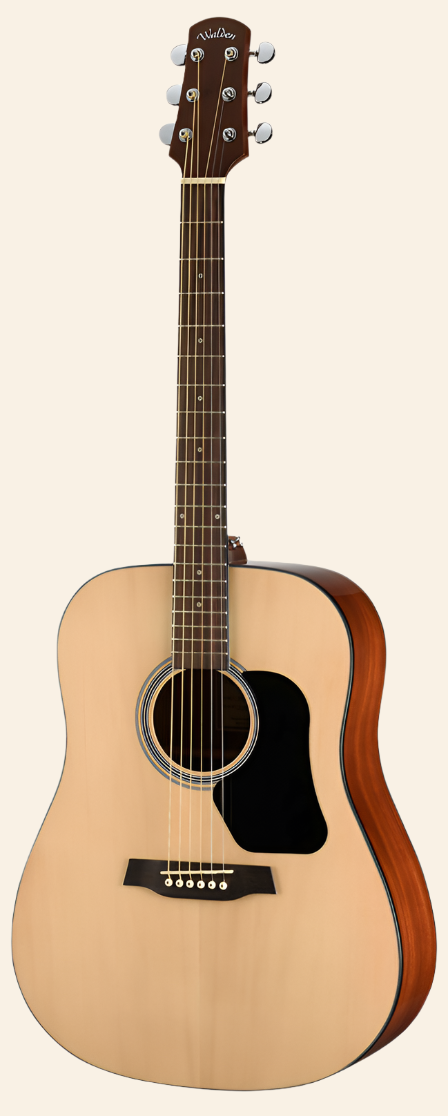 Walden GuitarsD450 Standard Solid Spruce Top Dreadnought
