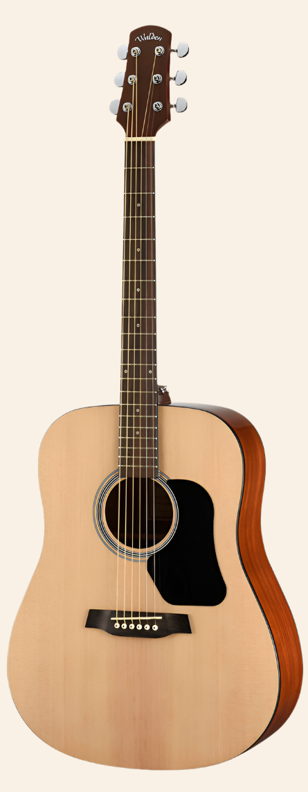 D350 Standard Dreadnought Acoustic - Gloss Natural