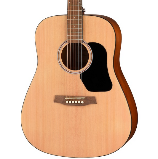 D255 Hawthorne Dreadnought Acoustic - Satin Natural