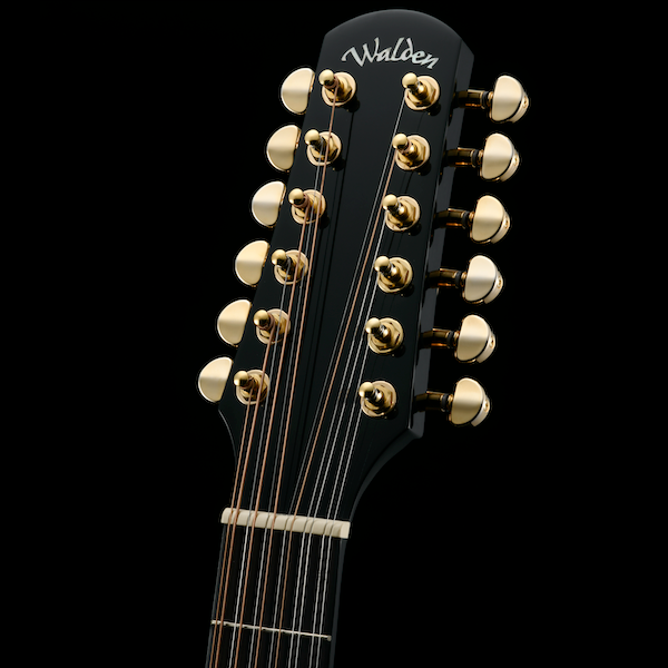 D642RCEB-G Natura Solid Sitka Top-Mahogany 12-String Armrest Dreadnought Acoustic Cutaway-Electric - Gloss Black