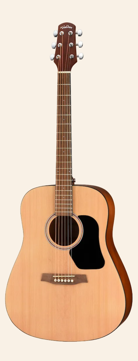 D255 Hawthorne Dreadnought Acoustic - Satin Natural